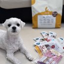 주식회사 시아스 영양공장 | 유기농 알러지 가수분해 강아지 사료 추천, 국내 생산 피니키 밀웜앤크릴