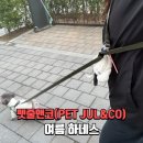 강아지산책 | 강아지리드줄 핸즈프리리드줄 추천 펫줄앤코 강아지산책 후기