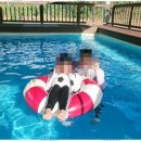 안면도 카사블랑카 이미지