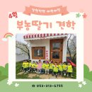 딸기밭 부농 이미지