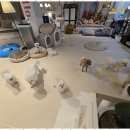 꿈꾸는강아지 이미지