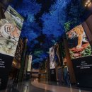 인스파이어 엔터테인먼트 리조트 이미지