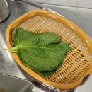 잠실새내 술집 새마을시장 곱창볶음 맛집 동천곱창