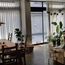 안쵸비 (Anchovy) 이미지