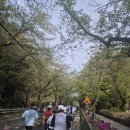 포항삼성유통 | 창원야철마라톤 10km 후기 ②