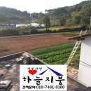 윤씨네민박 이미지