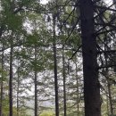 덕유산자연휴양림 네이버블로그