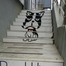 퍼피홀릭제주
