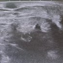 둔산싱싱튼튼의원 이미지