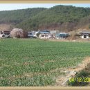 부계초등학교 이미지