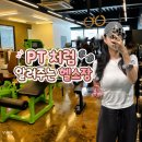 삼흥로 | 1:1 PT처럼 알려주는 포항 장성동 정원관리제 헬스장 운동공간 후기