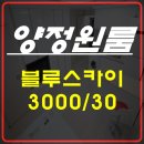 블루스카이공인중개사사무소 이미지