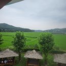 달거니해장국 아산도고점 | 파라다이스도고 스파 후기｜5살 아이와 다녀온 여름 물놀이 추천
