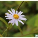 쌍둥이네농장 이미지