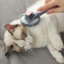 미미펫 그루밍 샵 이미지