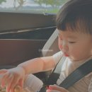 선우약국 | 추석맞이 아기 외출용 핑거푸드 간식 3종