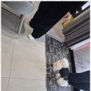 더블루네스 이미지