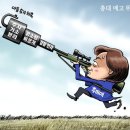 진보청과