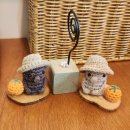 스테이 레헴 이미지