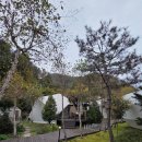 파인빌펜션 | 공기부터 다르다, 가평 파인포레스트 글램핑 후기