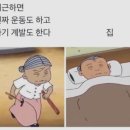 출근 2~3주차 소감