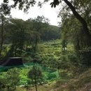 남한산성면-1 이미지