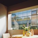 블루테라 이미지