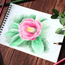 꽃그림 색연필화 이미지