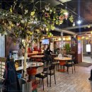 진갈매기 이미지