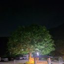 나무이야기 펜션 리솜포레스트 이미지