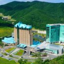 강원랜드, 서비스우수협력사 인센티브 1억7천만원 지급