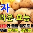 감자의 놀라운 효능 이미지