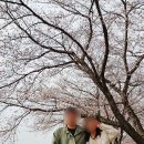 구량차리로 이미지