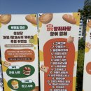 2026년 가락시장 가락몰 전국 빵지자랑 다녀온 후기! 내돈내산