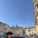 숭덕초교 버스정류장(08-119) | 프라하에서의 기록 ep.1 🇨🇿