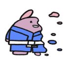 성북 와이어 주짓수 네이버블로그