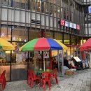 대창 | 마곡술집 | 마곡관 마곡나루 본점 한우 대창나베 후기