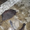 김해대학역 이미지