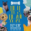 광명시민회관 전시실 이미지