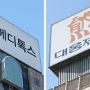 다올미르 이미지