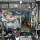 헬로샌디치 이미지