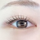 뷰티홀릭.J | [춘천 속눈썹펌 후기] 뷰티홀릭에서 받은 자연스럽고 또렷한 속눈썹쁘띠펌