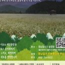 덕현리경로당 네이버블로그
