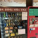 오렌지꽃향기는바람에날리고민박 | [오렌지꽃향기는바람에날리고] 봉화 뷰깡페 카페