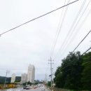 선산대로-86 이미지