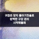 365플란트치과의원 이미지