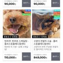 솔샘 동물병원 이미지