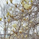 인창중앙공원(산책로) 이미지