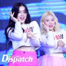 뿜뿜