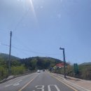 세븐일레븐 대구가창점 | [대구 가창] 대형카페 ㅣ 주리485 ㅣ 마운틴뷰 ㅣ 반려동물 동반